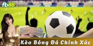 Kinh nghiệm cá cược bóng đá hiệu quả